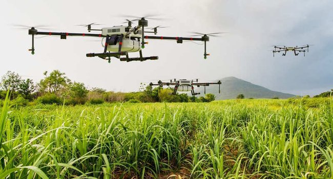 agricultura-precision-800x450.jpg