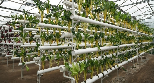 agricultura-sostenible-800x450.jpg