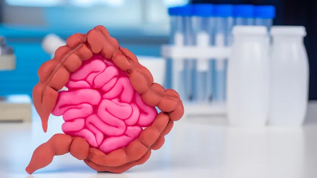 alimentos-probioticos