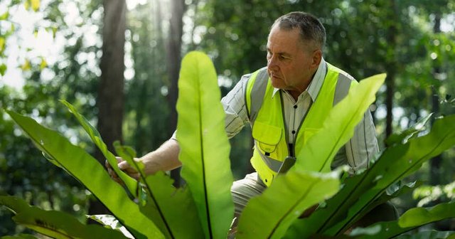 imagen de un ambientalista en el campo