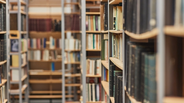 muchos libros en los estantes de una biblioteca