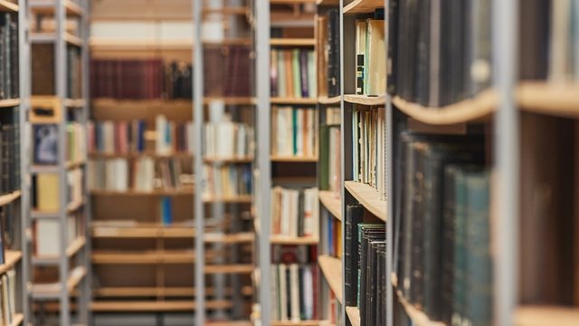 muchos libros en los estantes de una biblioteca