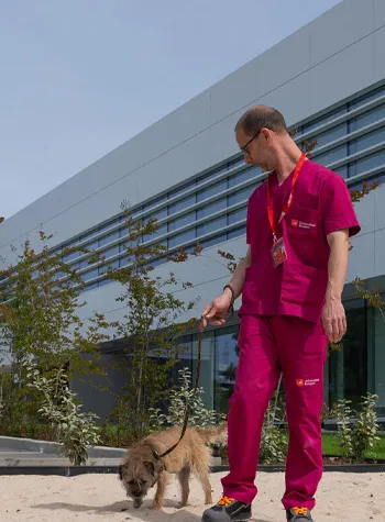 Hospital Veterinario Universidad Europea de Madrid