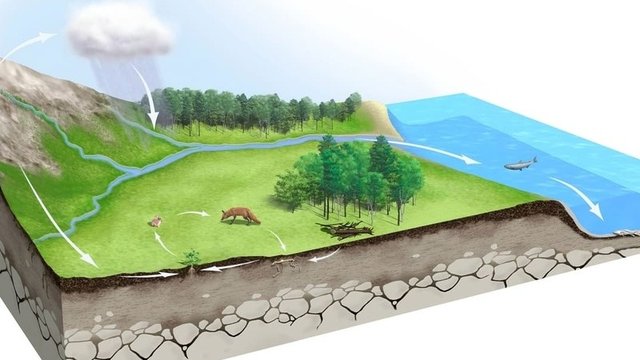 imagen digital del ciclo biogeoquímico