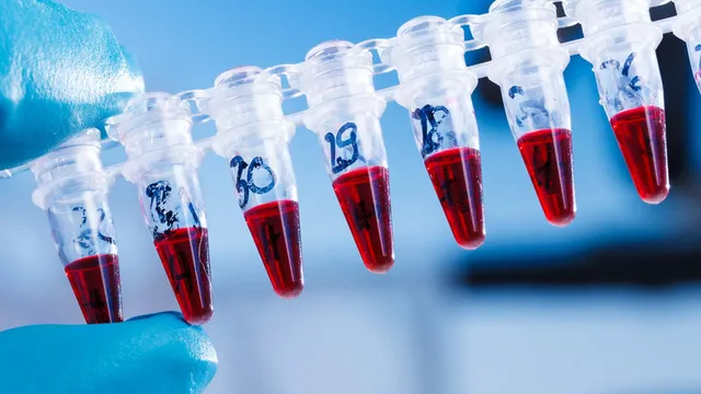 biomateriales