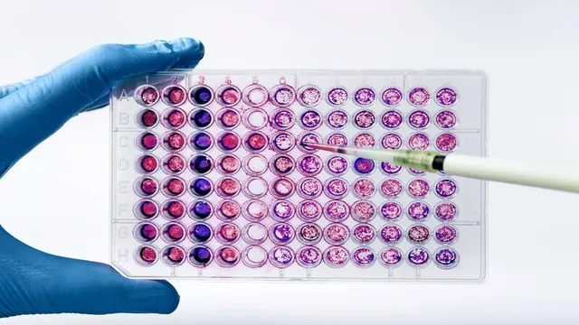 biomedicine careers