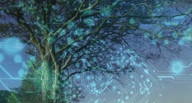 biomimetica-800x450.jpg