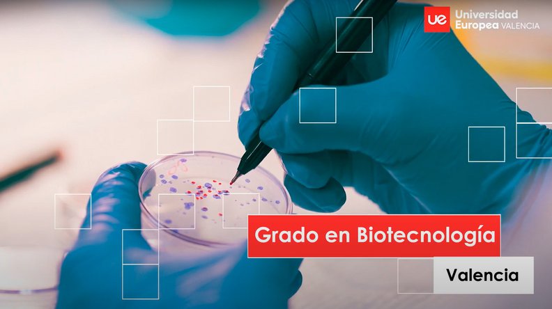Estudiar el Grado en Biotecnología en Valencia