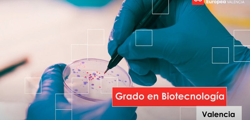 Estudiar el Grado en Biotecnología en Valencia