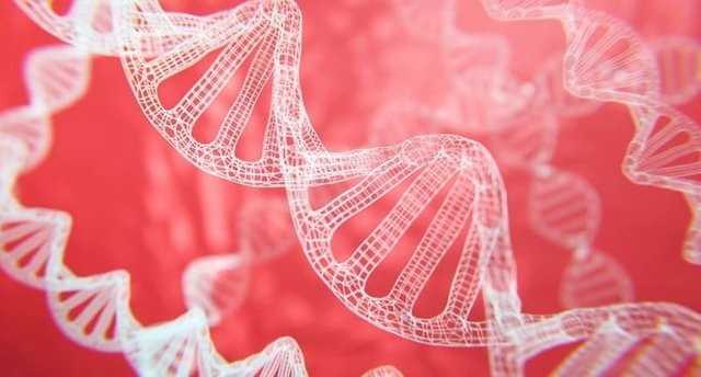 biotecnología roja