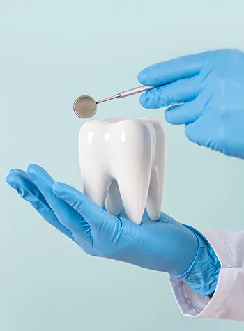 Health Science Foundation Dentistry