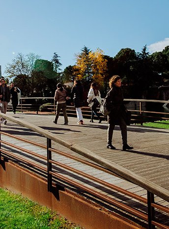 Universidad Europea de Madrid