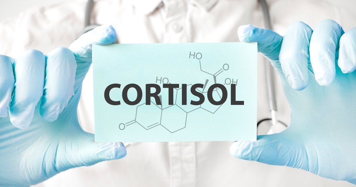 What is cortisol? | Universidad Europea Blog
