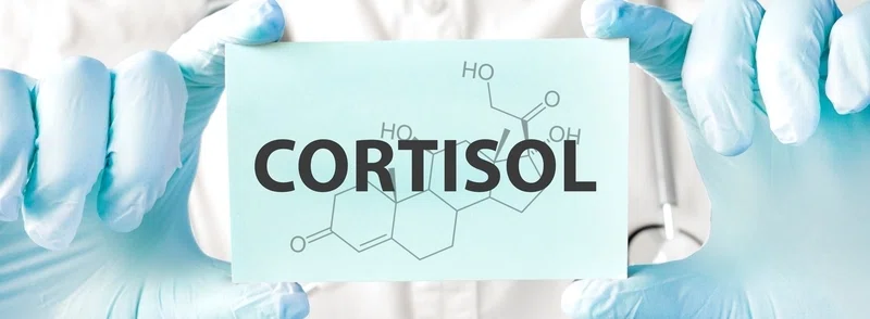 cortisol-800x450.jpg