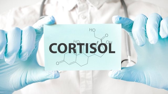 cortisol