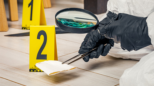 M&aacute;ster en Criminolog&iacute;a Aplicada - salidas profesionales