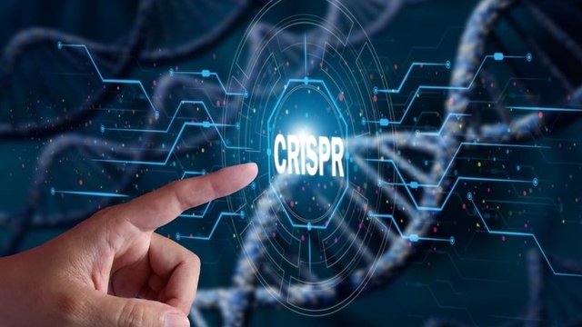 imagen digital con el nombre crispr