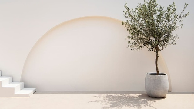 decoraci&oacute;n minimalista de un espacio exterior