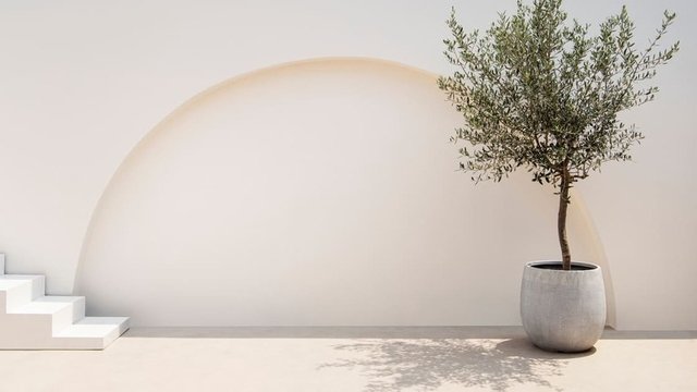 decoración minimalista de un espacio exterior