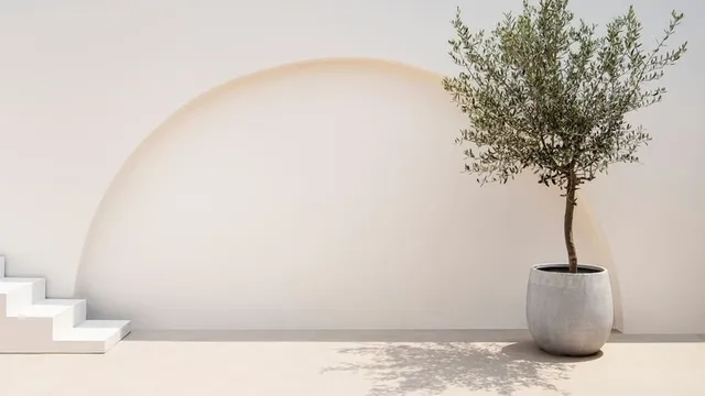 decoración minimalista de un espacio exterior