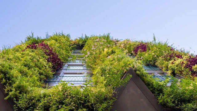 imagen de un edificio con diseño biofílico