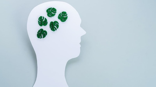 imagen de una cabeza con dibujos de hojas verdes dentro representando la ecoansiedad