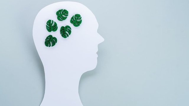 imagen de una cabeza con dibujos de hojas verdes dentro representando la ecoansiedad