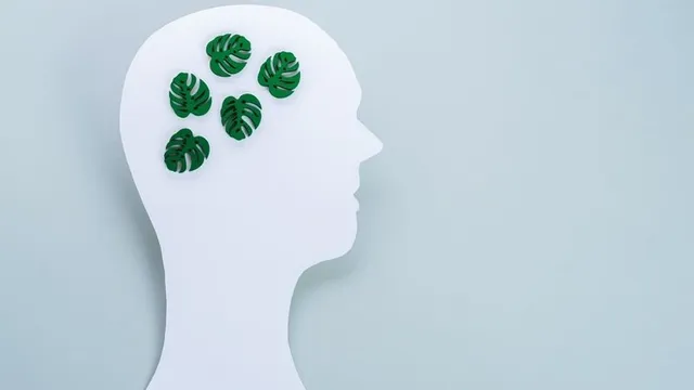 imagen de una cabeza con dibujos de hojas verdes dentro representando la ecoansiedad