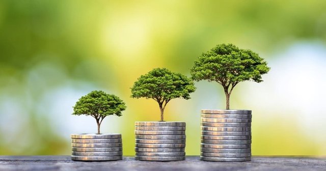 imagen representativa de la economía ambiental con árboles sobre monedas