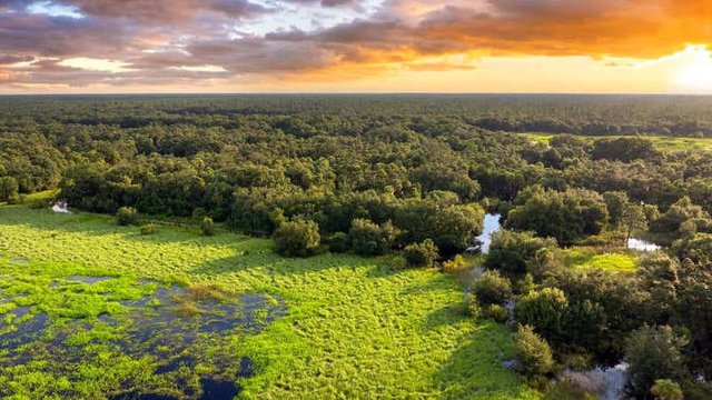 imagen de un ecosistema natural
