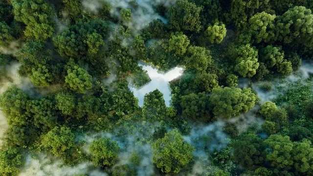 silueta de un avión sobre el fondo arbolado de un bosque