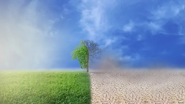 imagen comparativa de bosque frondoso contra zona desértica