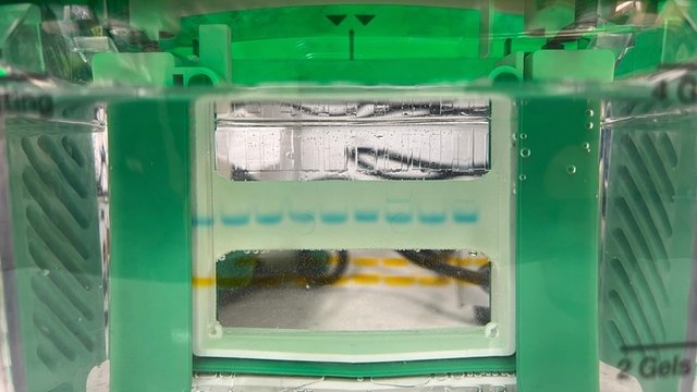 una cámara de electroforesis durante el análisis PAGE de las proteínas