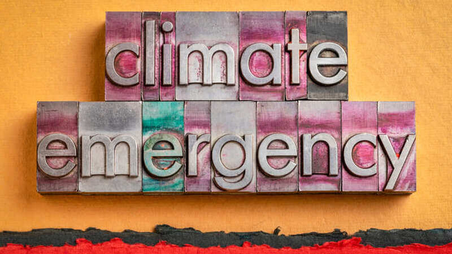 palabra "emergencia climática" escrita sobre trozos de madera