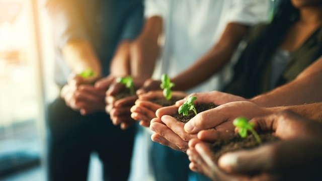 personas sosteniendo tierra y una planta entre sus manos