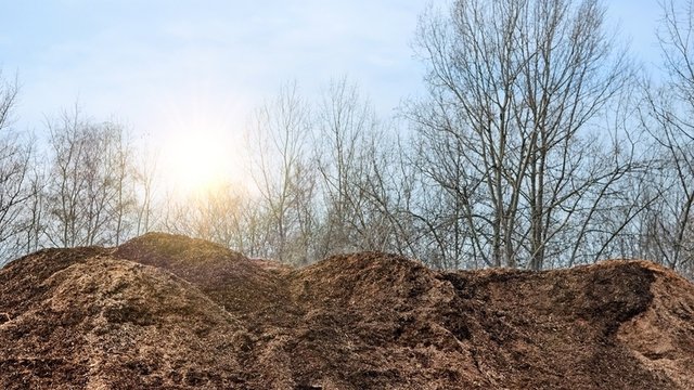 Planta de residuos de biomasa, ramas y restos de poda