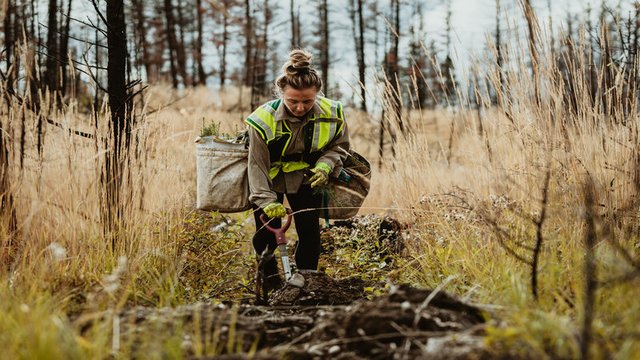 What does an environmentalist do?