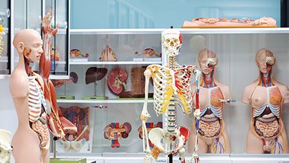 Laboratorio de Estructura y Función