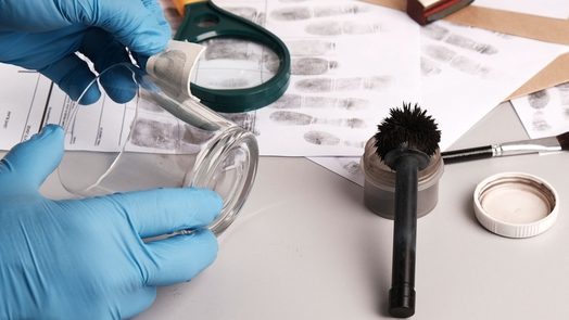 an&aacute;lisis forense de huellas dactilares