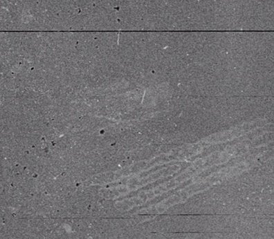 En la mente del terrorista digital