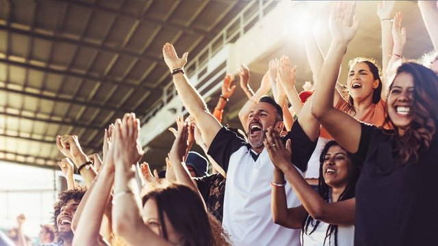 hinchas animando a su equipo durante un partido en el estadio