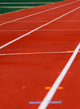 Facultad de Ciencias de la Actividad Física y del Deporte