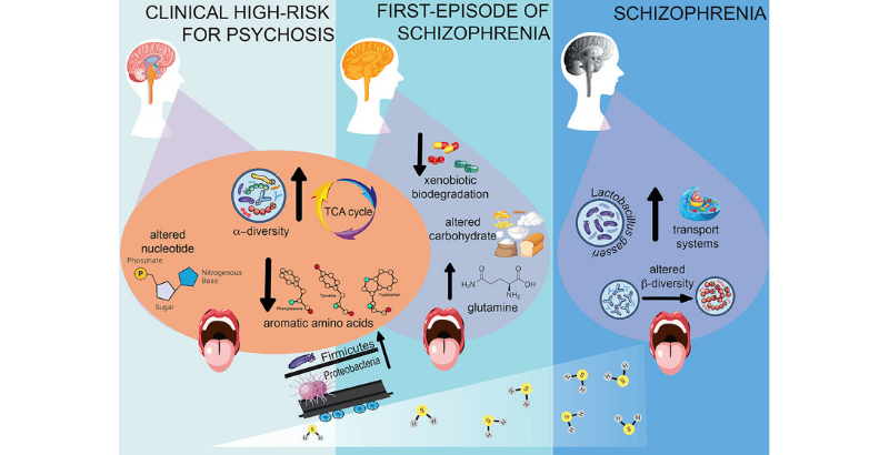 Microbiota