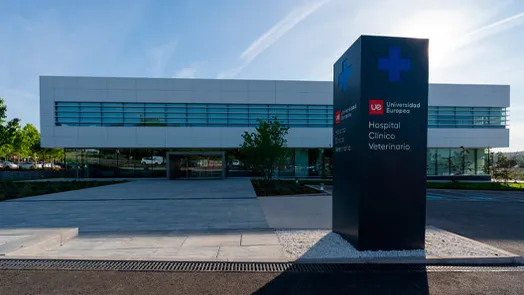 hospital veterinario