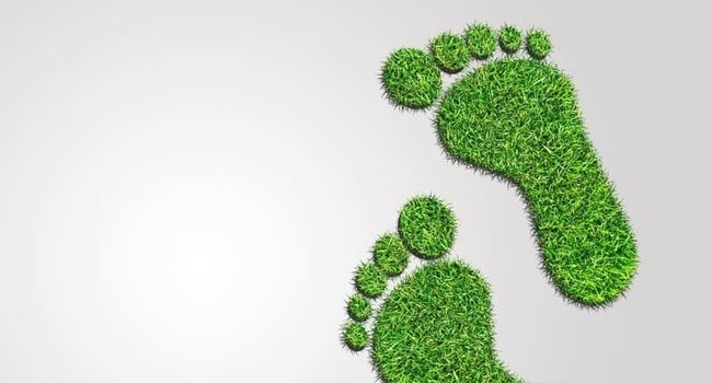 huella-ecologica-800x450
