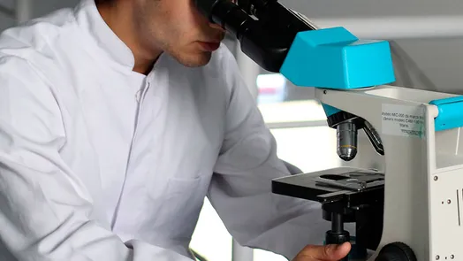 Investigación y Doctorado