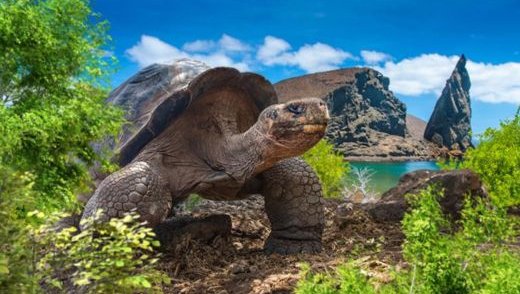 islas galápagos