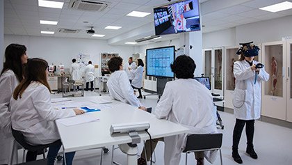 Laboratorio de estructura y función