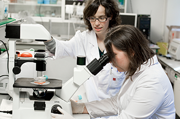 Laboratorio de Biotecnolog&iacute;a Universidad Europea Madrid