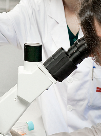 Laboratorio de Biotecnología Universidad Europea Madrid